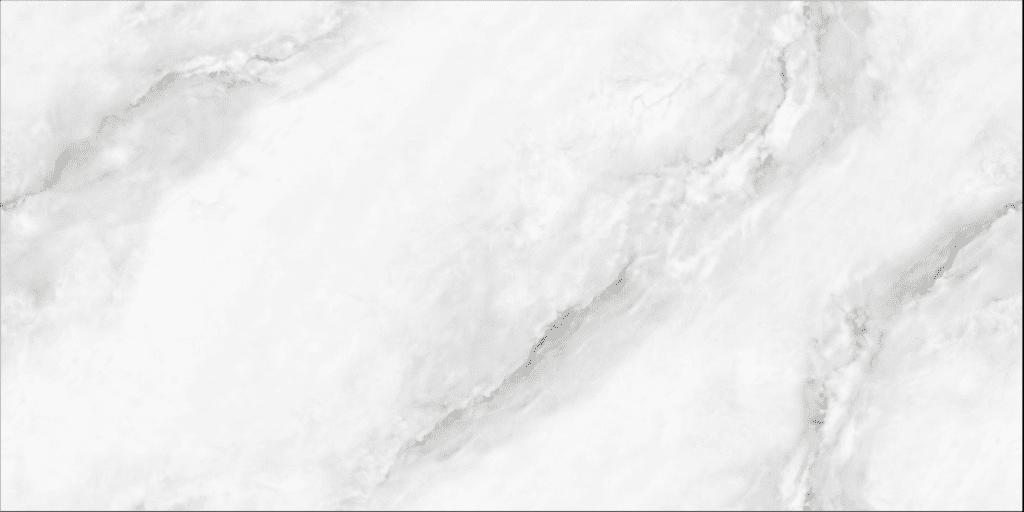 VITRIFIED TILES 600 x 1200