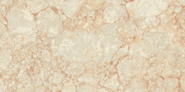 VITRIFIED TILES 600 x 1200