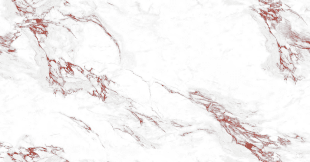 VITRIFIED TILES 600 x 1200