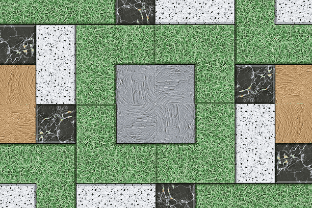 Parking Tiles Parking Tiles