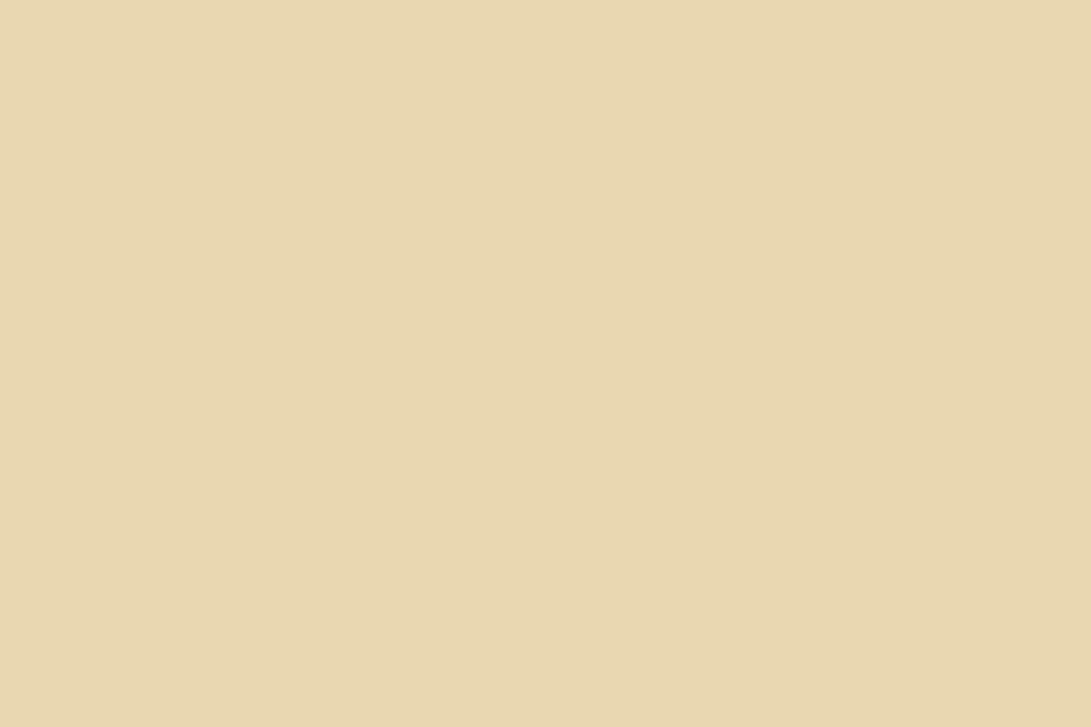 DARK BEIGE Porcelain Slabs