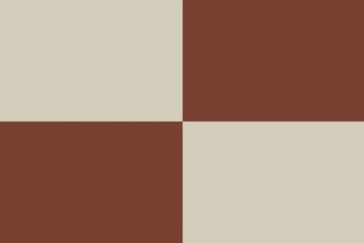 terracotta ivory parking tiles (6)